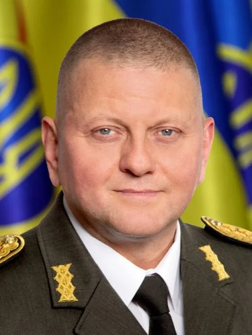 Валерий Залужный. Фото: ВСУ
