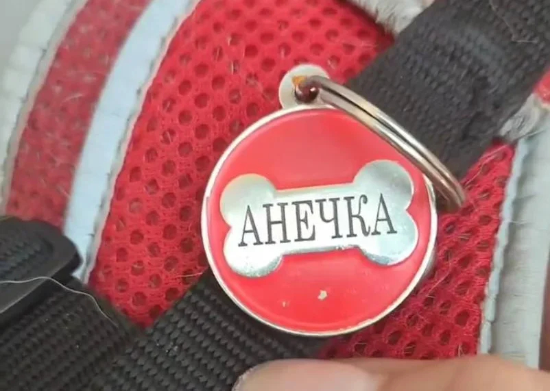 Photo courtesy of Nadia Valiukh
